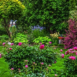 Keep Your Summer Garden Blooming