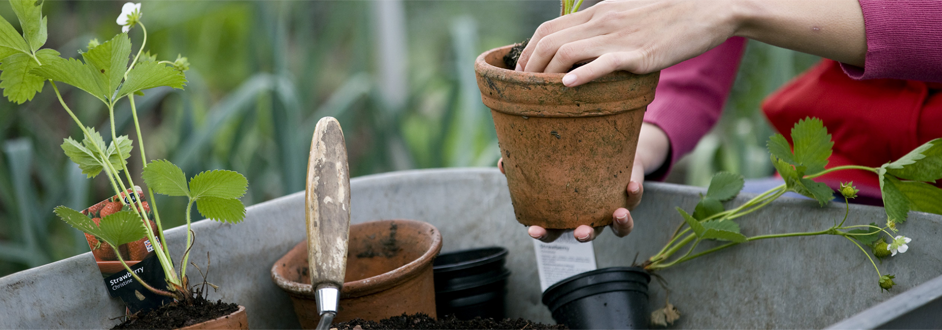 <h1 class="inner"><h1 class="banner-center-text">Perfecting The Potting Mix</h1></h1>