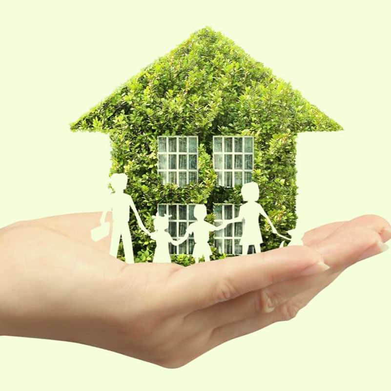 A Beginner's Guide to a Happy Eco-Friendly Home